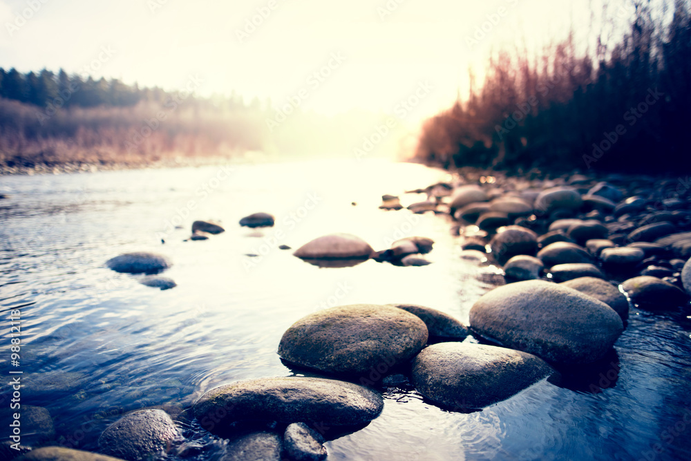 River with pebbles in Polish forest