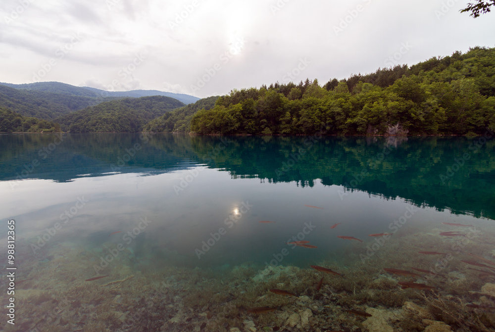 Clear clean turquoise lake with swimming fish.