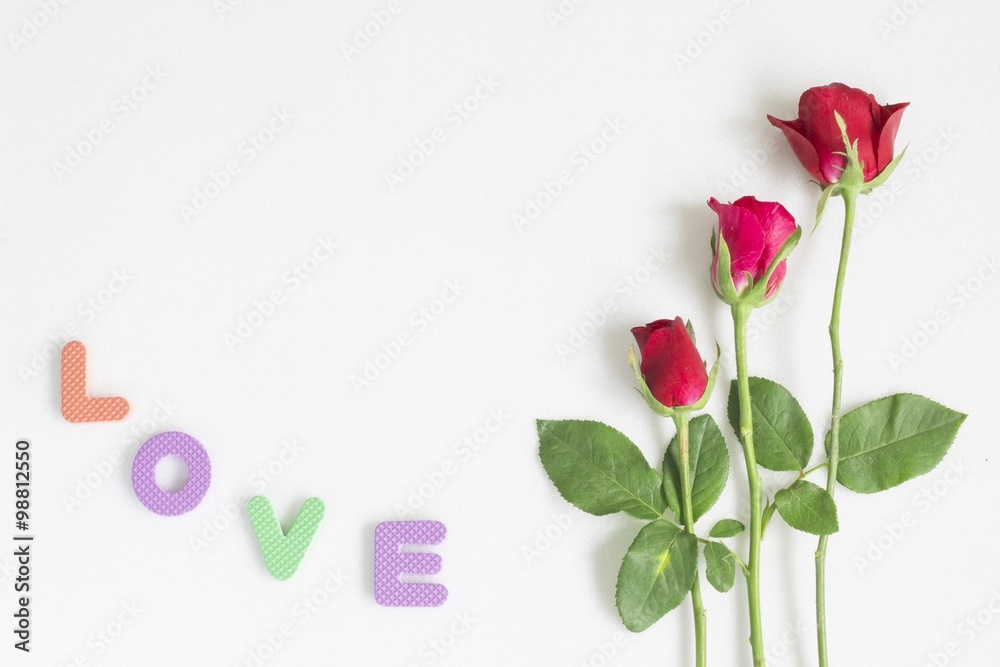 Fototapeta premium Beautiful roses as a symbol of love on Valentine's Day and every other day.
