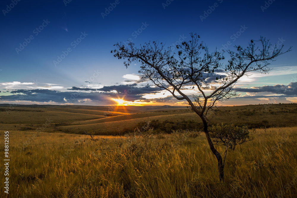 Fototapeta premium Sunset at fields of Serra da Canastra National Park - Minas Gera