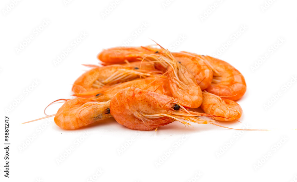 fresh shrimp isolated fresh shrimp isolated