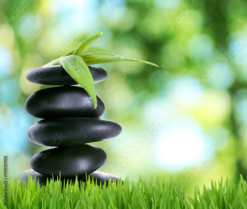 Spa stones on green grass  on nature background