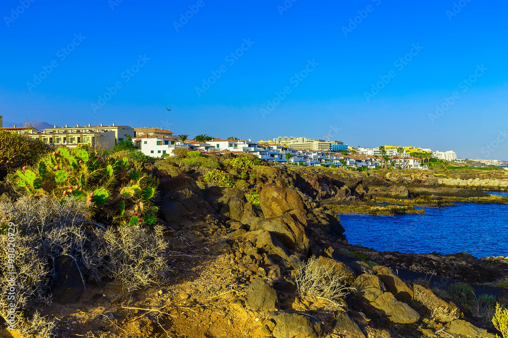 Landscape with City on Ocean Coast