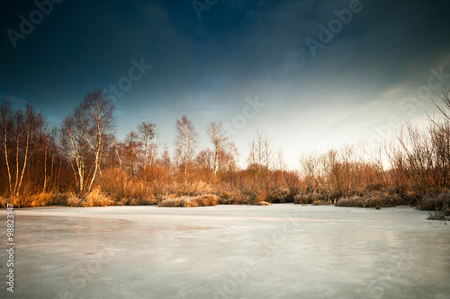 Scenic Winter Landscape with Frozen Lake Surrounded with Birch and oak Trees