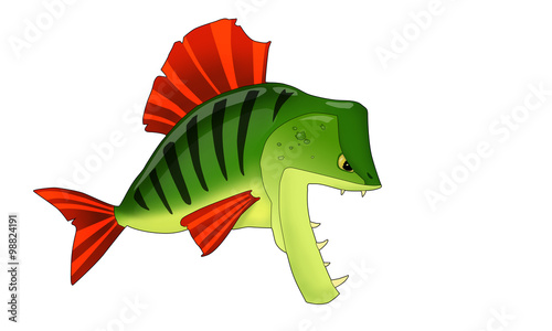 Angry perch