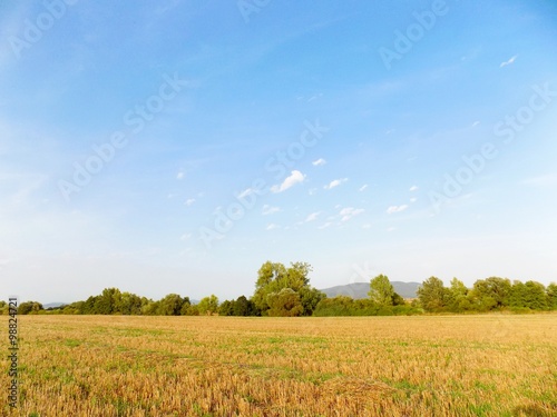 Field after harvest, forest and sky