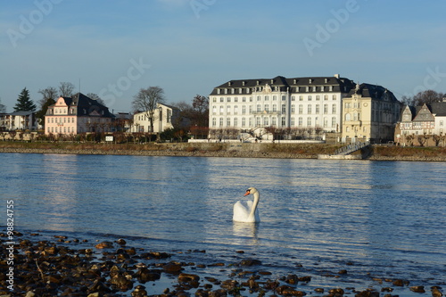 Rhein bei Engers photo