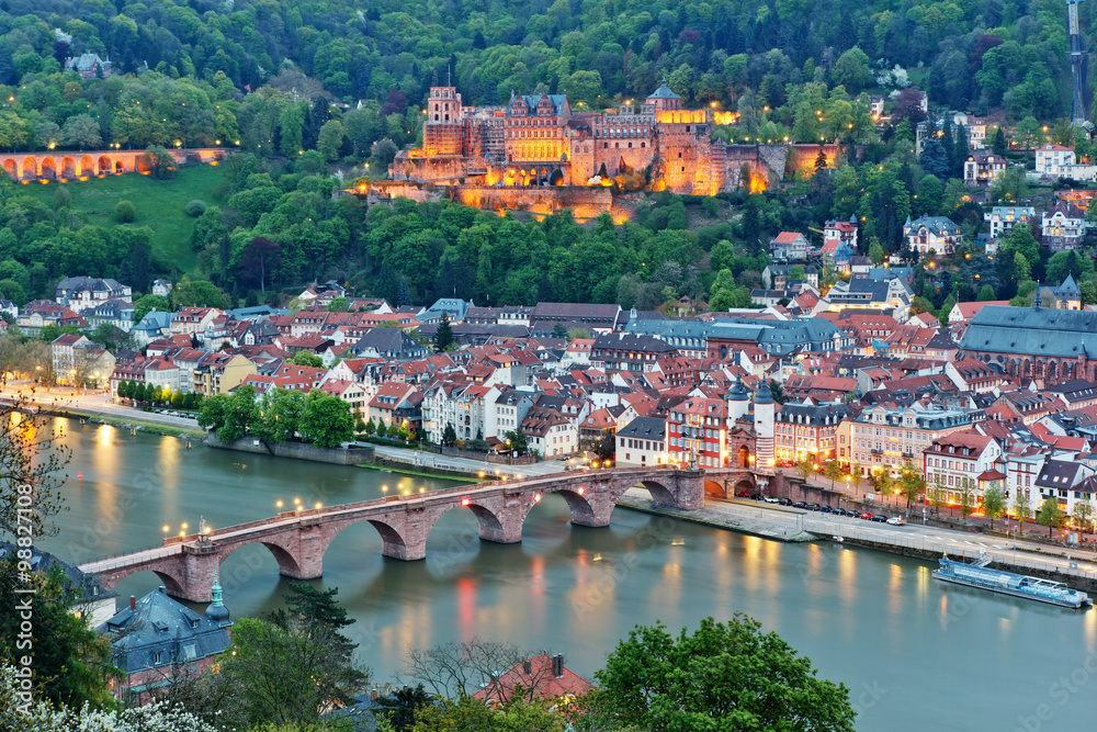 View on Heidelberg, Germany - obrazy, fototapety, plakaty 