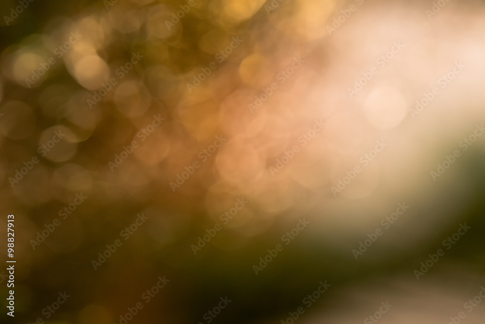 Obraz premium naturalny efekt bokeh