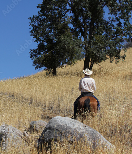 A cowboy riding his horse up a trail in tall golden grasses with an oak tree and a beautiful blue sky.