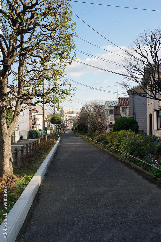 Fototapeta premium 玉川上水 第二緑道
