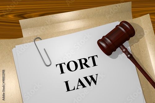 Tort Law concept photo