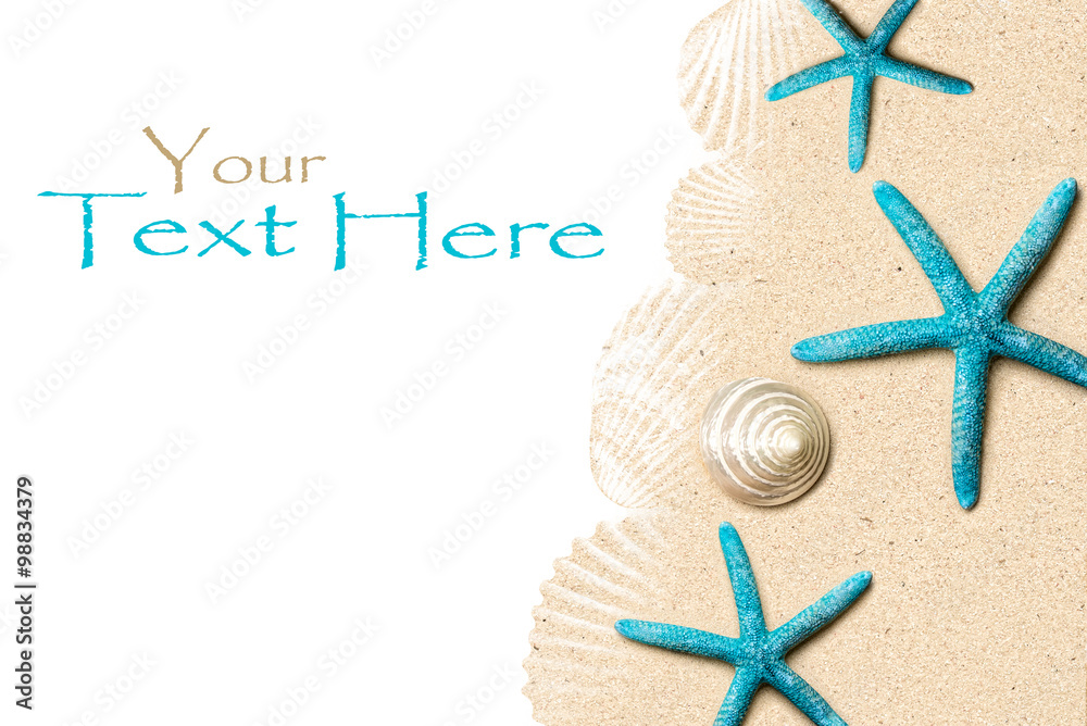Sea shells on sand. Summer beach background. Top view