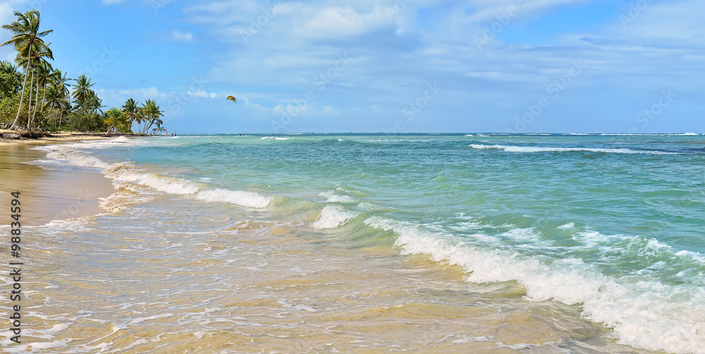 Palm Trees on Tropical Beach with Crystal Water and White Sand