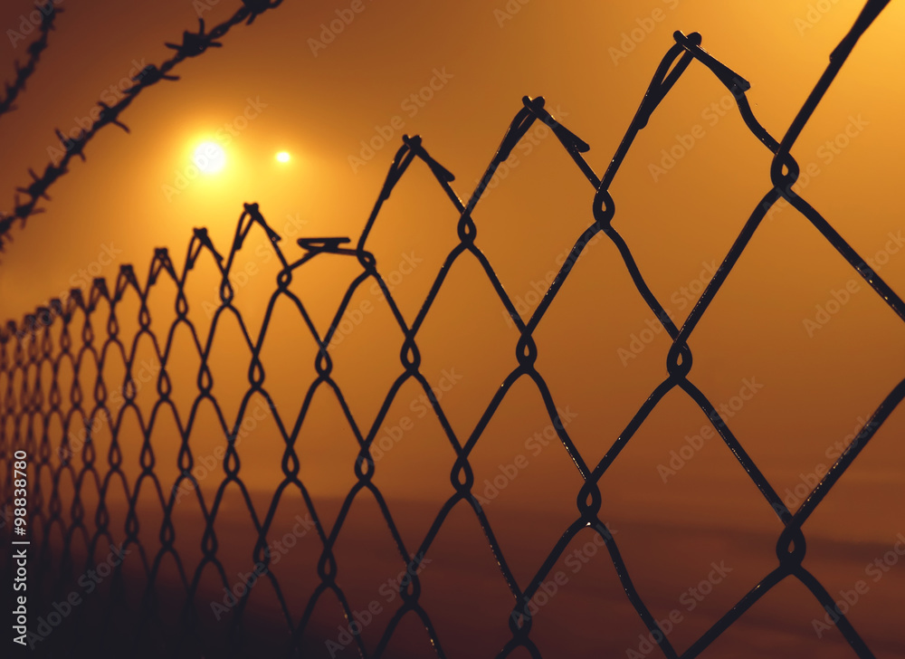 Barbed wire