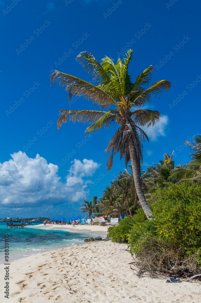 Obraz premium Johnny Cay beach