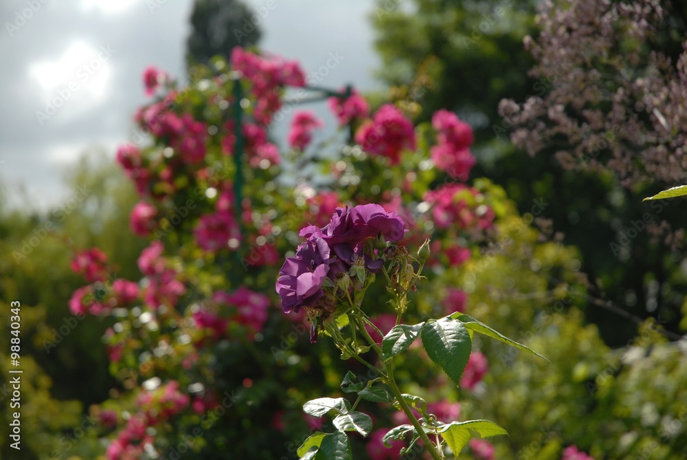 Obraz premium Giverny Casa di Claude Monet