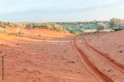 Vehicle tracks in red Kalahari sand