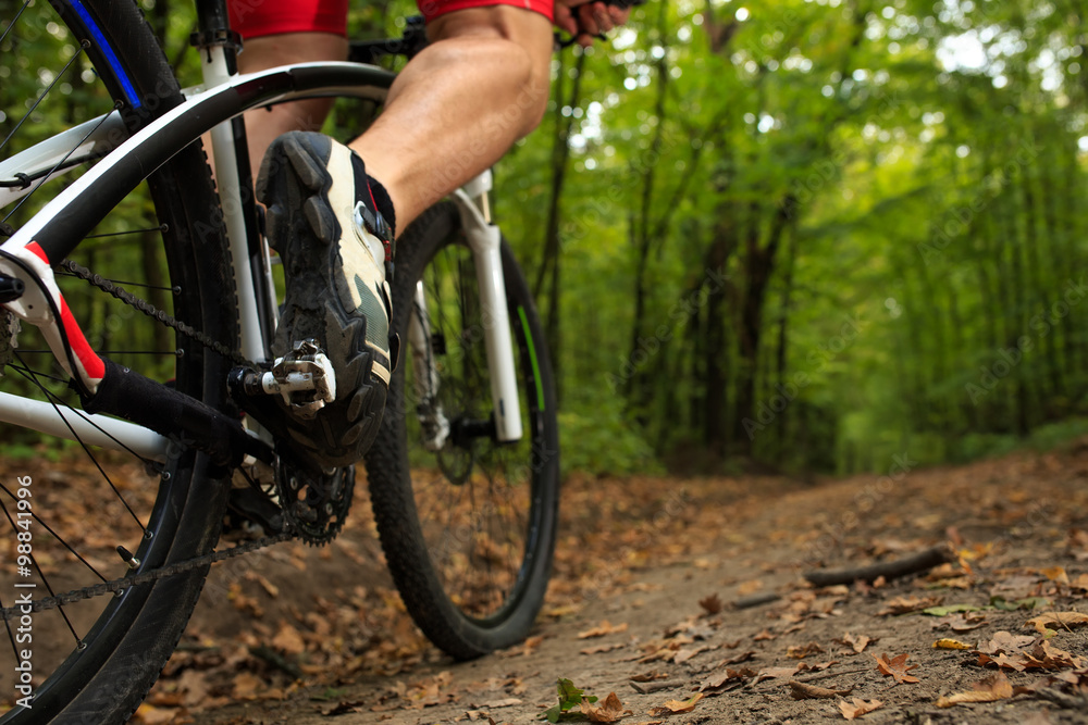 Naklejka premium Man Cyclist Riding on bicycle in the Summer Forest