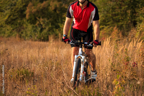 Man Cyclist Riding on bicycle in the Summer Forest