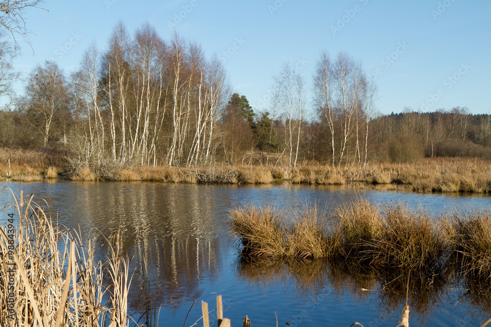 Fototapeta premium Moorsee