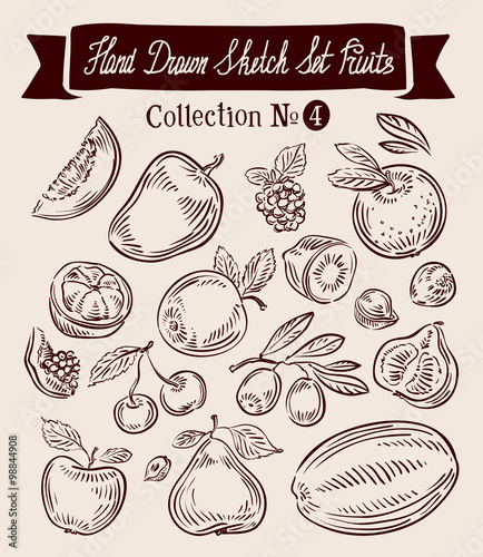 Hand drawn vector sketch set fruit