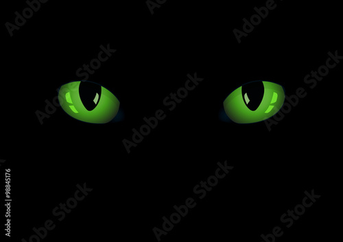 Green cat's eyes on the dark. EPS 10 vector illustration