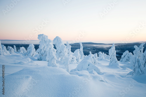 Картината върху платно Winter in Lapland Finland