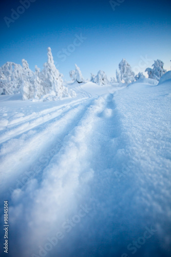 Winter in Lapland Finland © Kati Finell