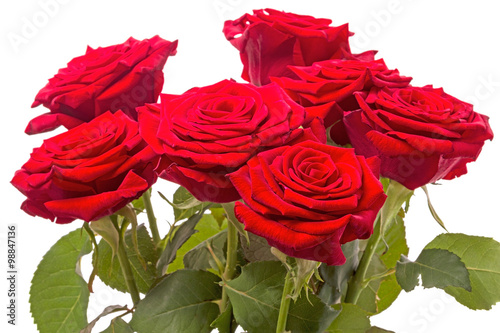 Bouquet of seven red roses