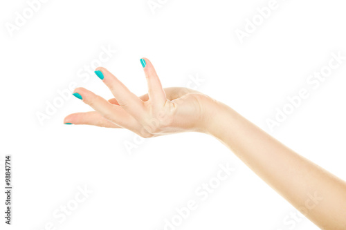 Female hand gestures on a white background