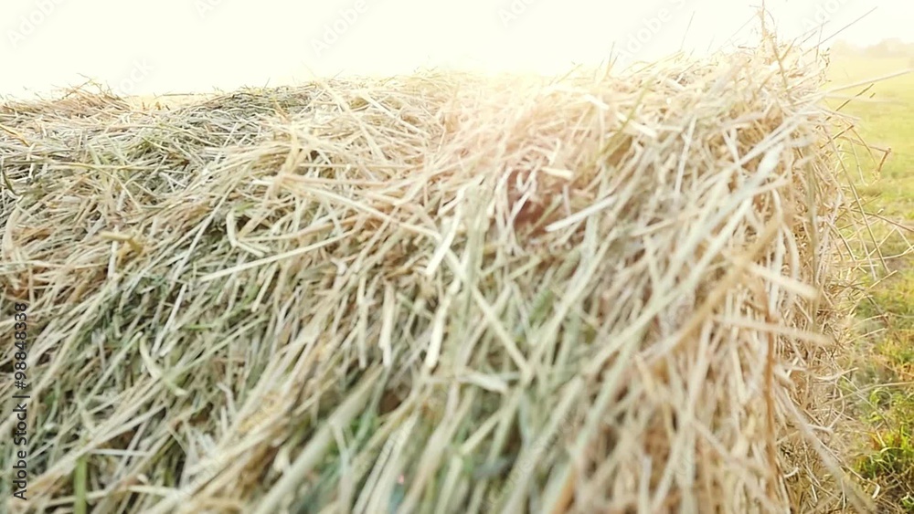 Summer Farm Scenery with Haystack in slowmotion on the Background of Beautiful Sunset. Agriculture Concept. Summer Farm Scenery with Haystack in slowmotion on the Background of Beautiful Sunset. Agriculture Concept.