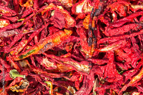 big dried red chinese chilli