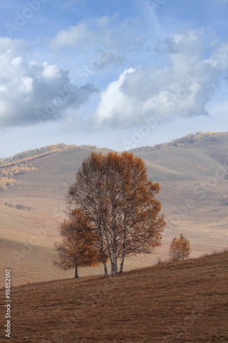 Tranquil scenery at a vast steppe in autumn colors, Mulan Weichang, inner Mongolia, China