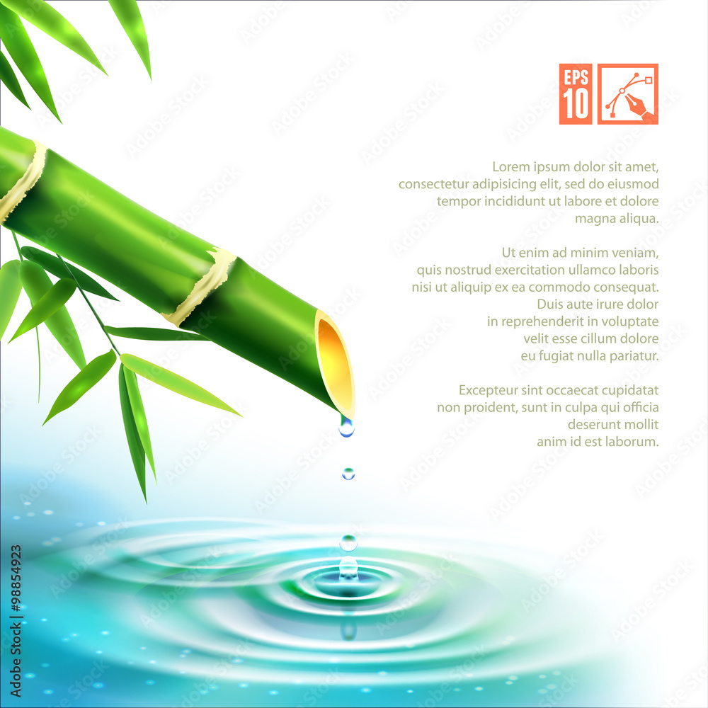 Fototapeta premium Bamboo Fountain. Vector illustration, eps10.