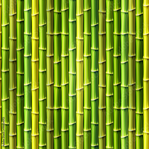 Fototapeta Naklejka Na Ścianę i Meble -  Seamless Bamboo Background. Vector illustration, eps10.