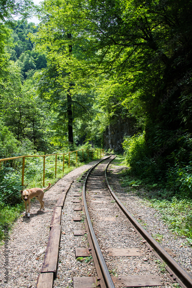 Beautiful mountain scenery . Guam gorge. Krasnodar region Beautiful mountain scenery . Guam gorge. Krasnodar region