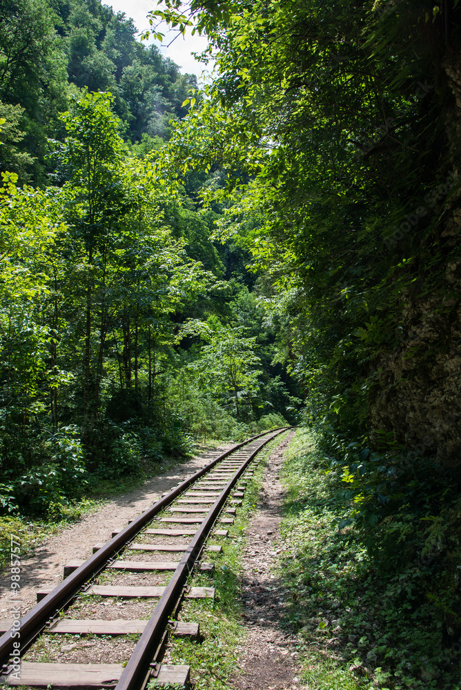 Beautiful mountain scenery . Guam gorge. Krasnodar region Beautiful mountain scenery . Guam gorge. Krasnodar region