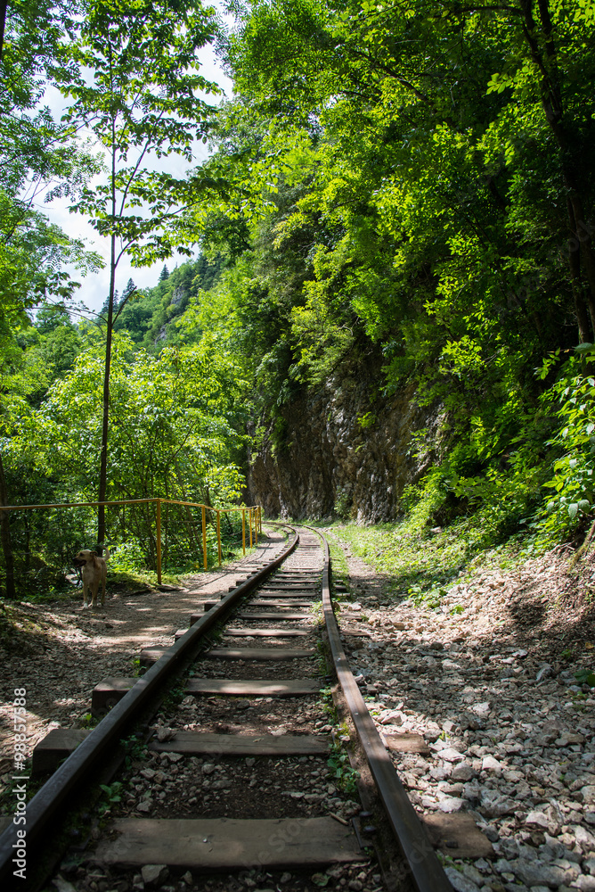 Beautiful mountain scenery . Guam gorge. Krasnodar region Beautiful mountain scenery . Guam gorge. Krasnodar region