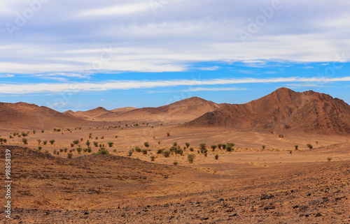 desert landscape  Morocco