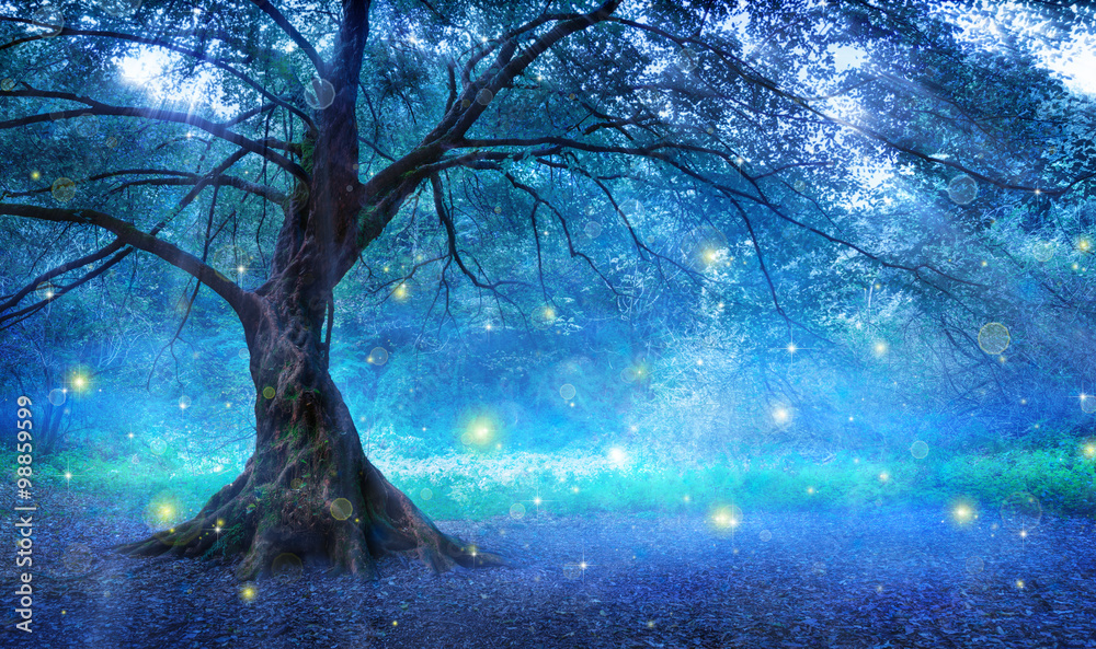 Obraz premium Fairy Tree W Mystic Forest