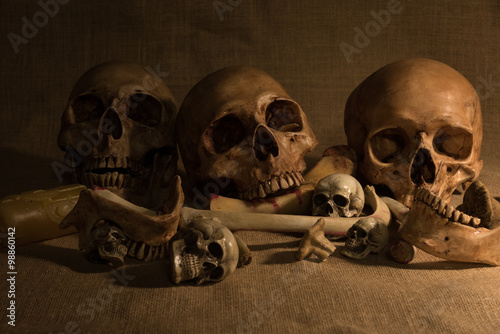 still life with skulls and bones, art and dark concept