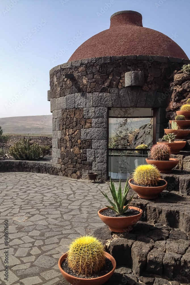 View of cactus garden, gardin de cactus in Guatiza, Lanzarote, Canary  Islands, Spain foto de Stock | Adobe Stock