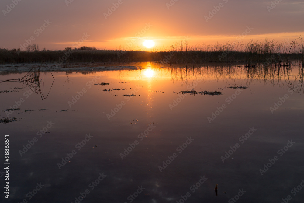 beautiful sunrise of the sun on the lake