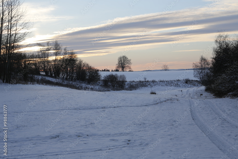 Obraz premium winter landscape