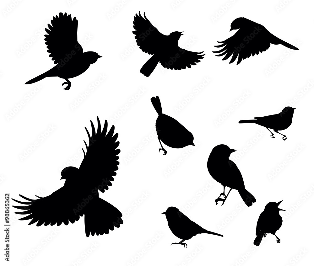 Obraz premium silhouettes of birds flying and sitting on a white background