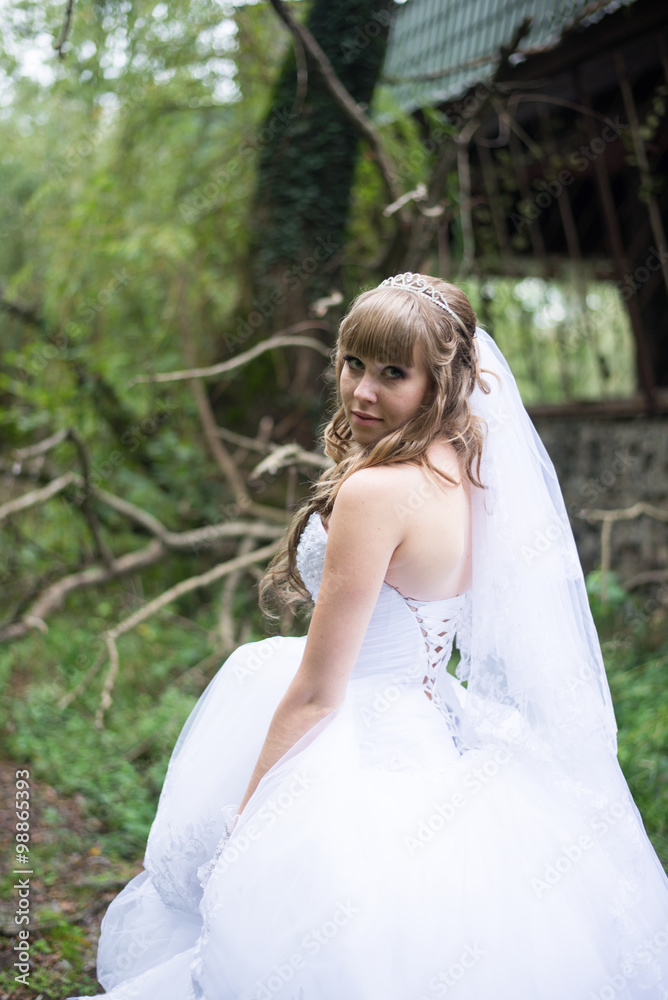 Beautiful bride on wedding day