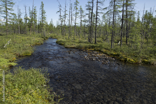 Rocky stream in the woods. Moma Mountains. Yakutia. Russia.