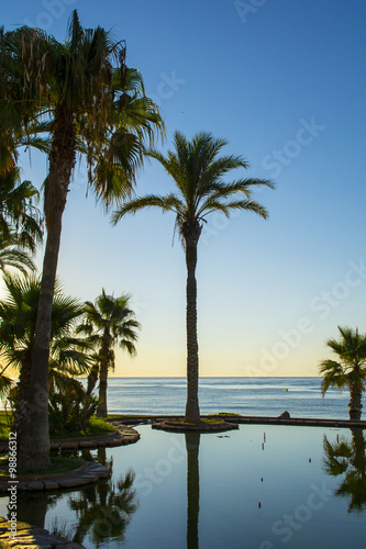 Sunrise on the beach in Spain and palms