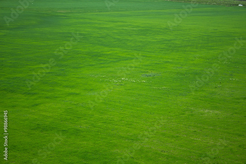 The view from the heights in the spring green field